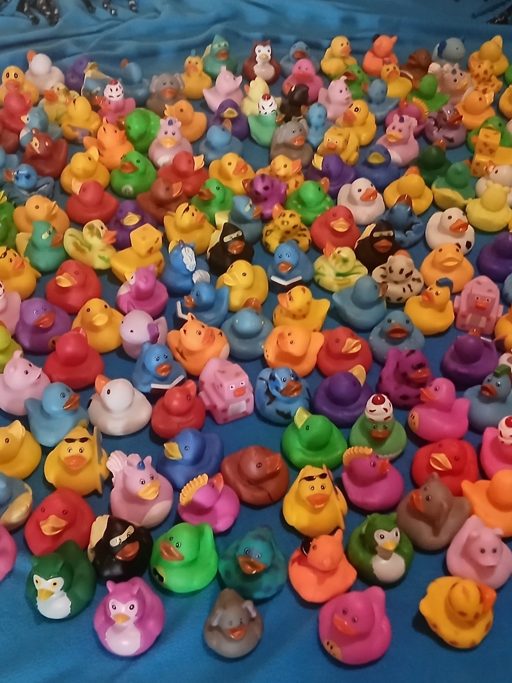 Rubber Ducks Lot of 100 Assorted Duckies